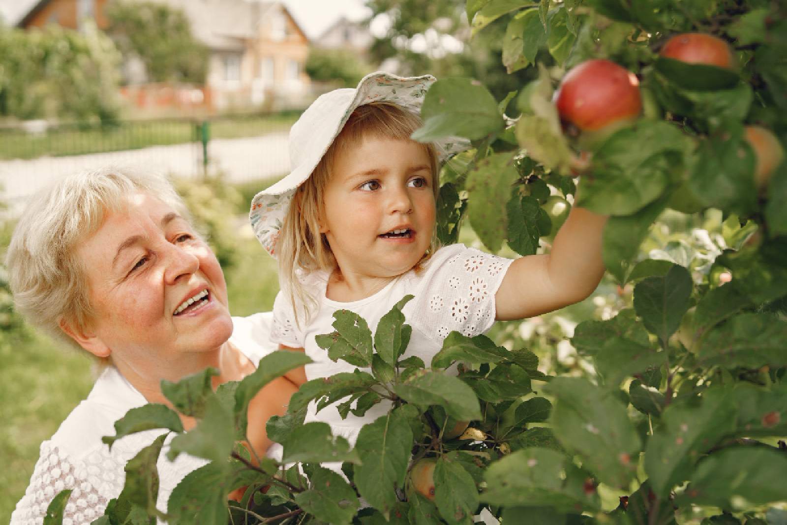 Gartenrollsitz für Senioren