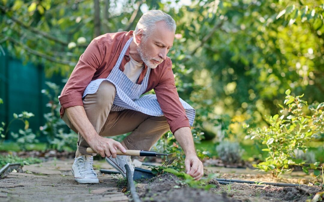 Gartenfreude im März – Praktische Tipps für Senioren