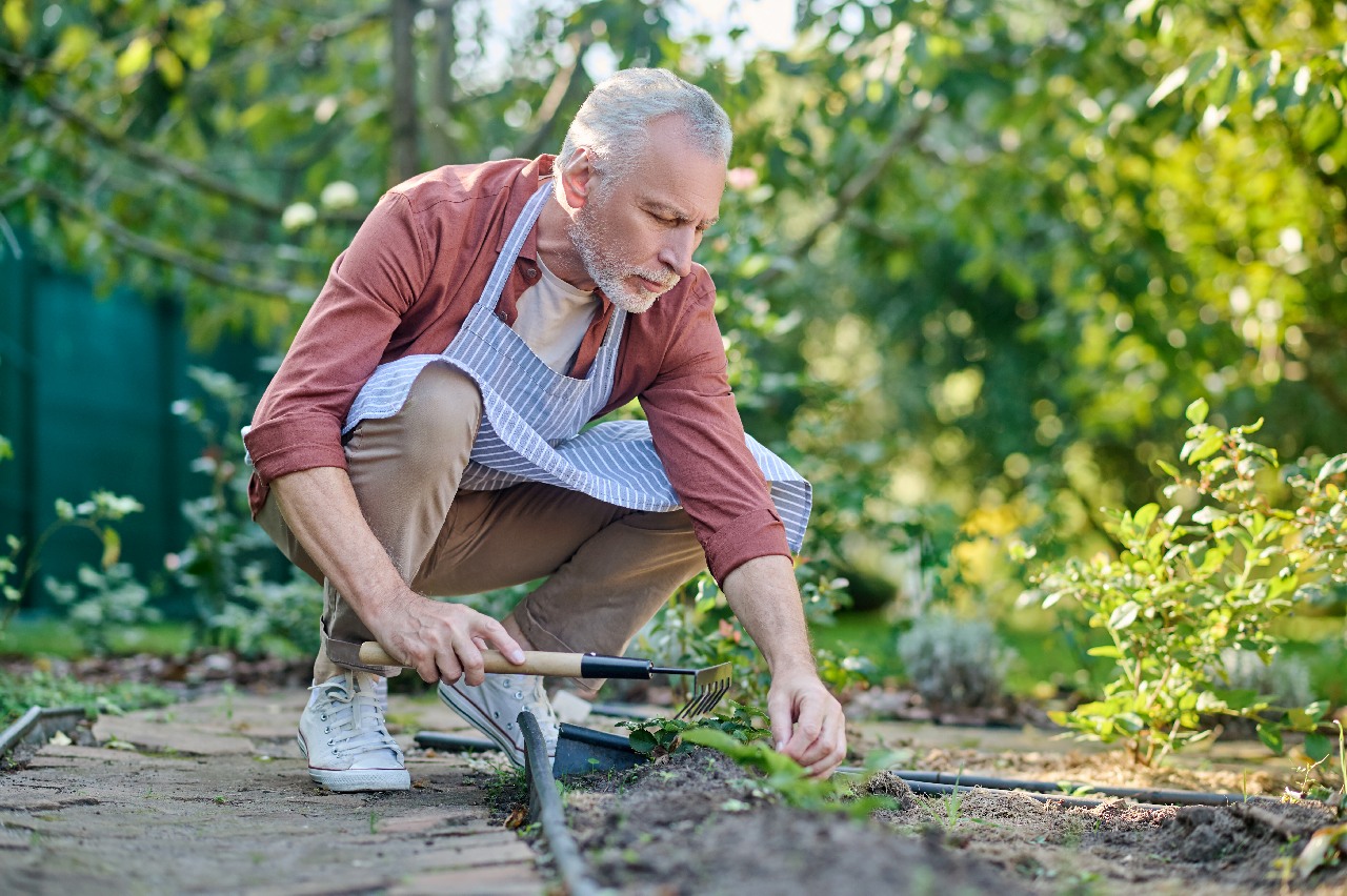 >Gartenfreude im März – Praktische Tipps & Hilfsmittel für Senioren