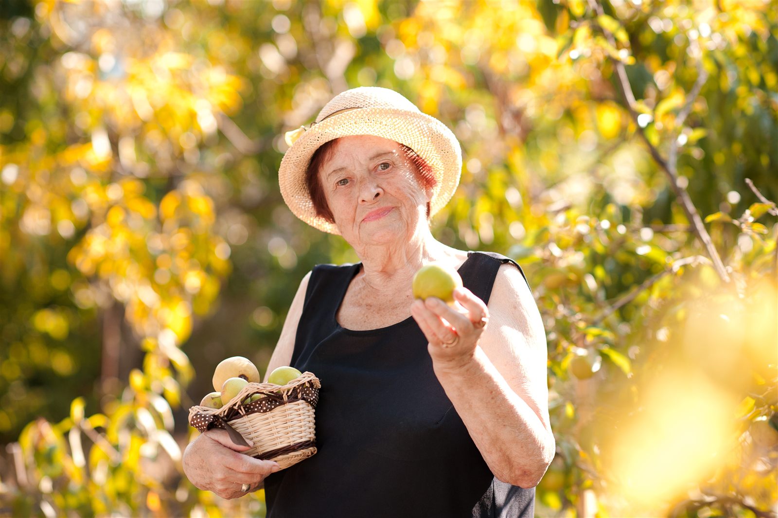 Seniorin mit Sonnenhut haelt einen Korb mit frisch geerntetem Obst im eigenen Garten