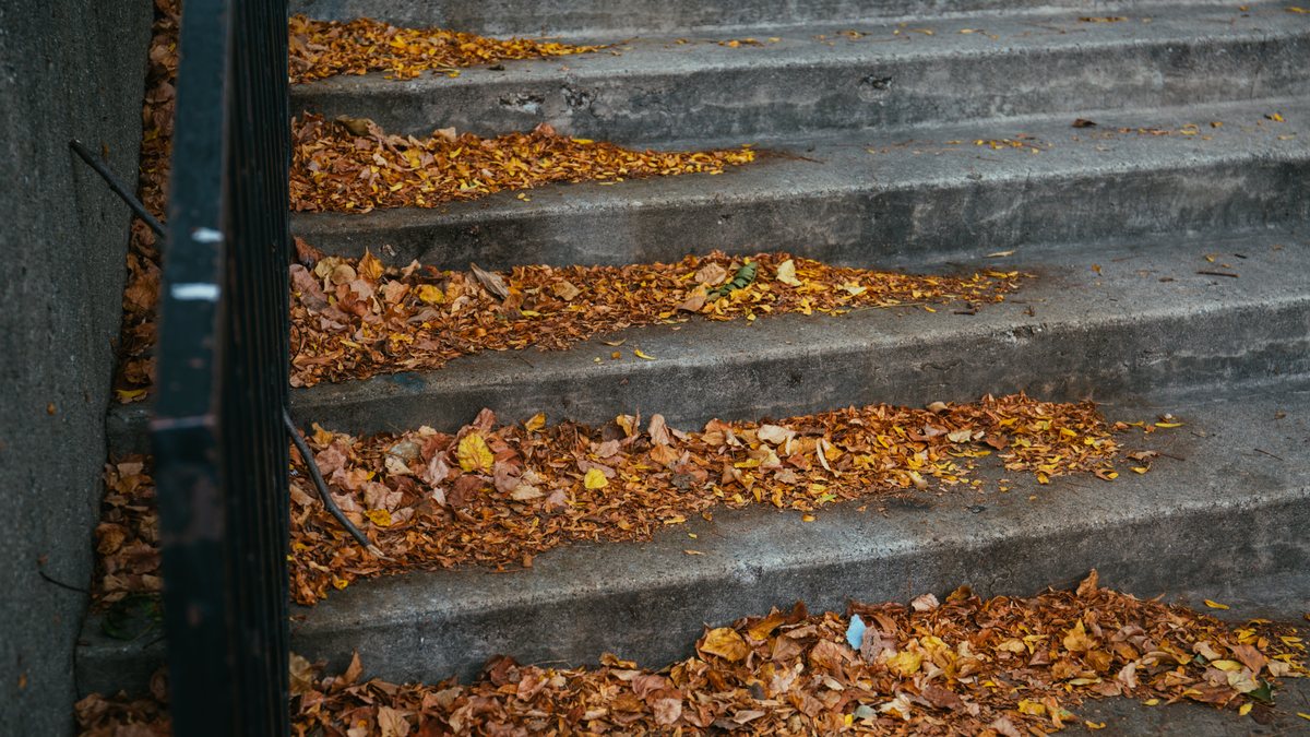 Steinstufen mit Herbstlaub und einem Handlauf aus Metall