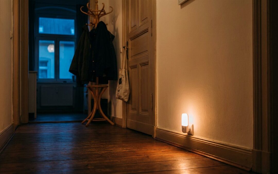 Jetzt verliert der Tag am schnellsten Licht: was im September zu Hause dran ist